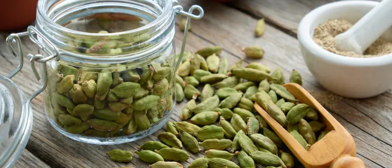 Cardamom